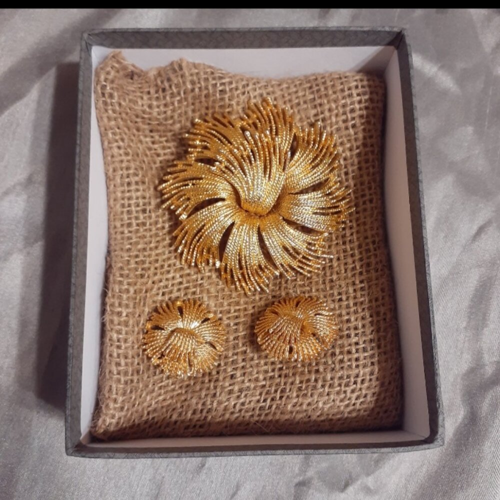 Celebrity NY Brooch and Earrings set